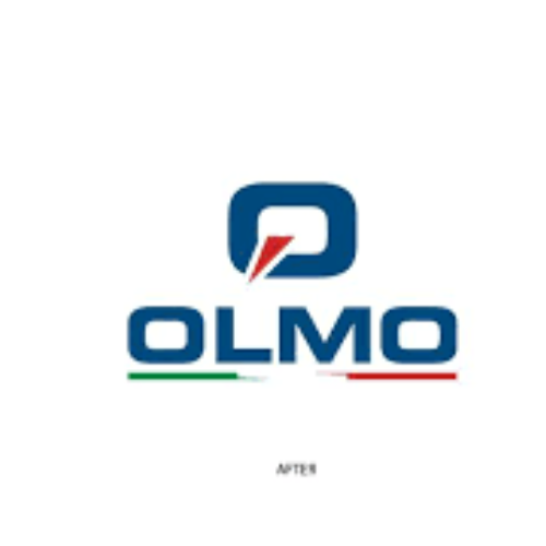 OLMO MOTORS